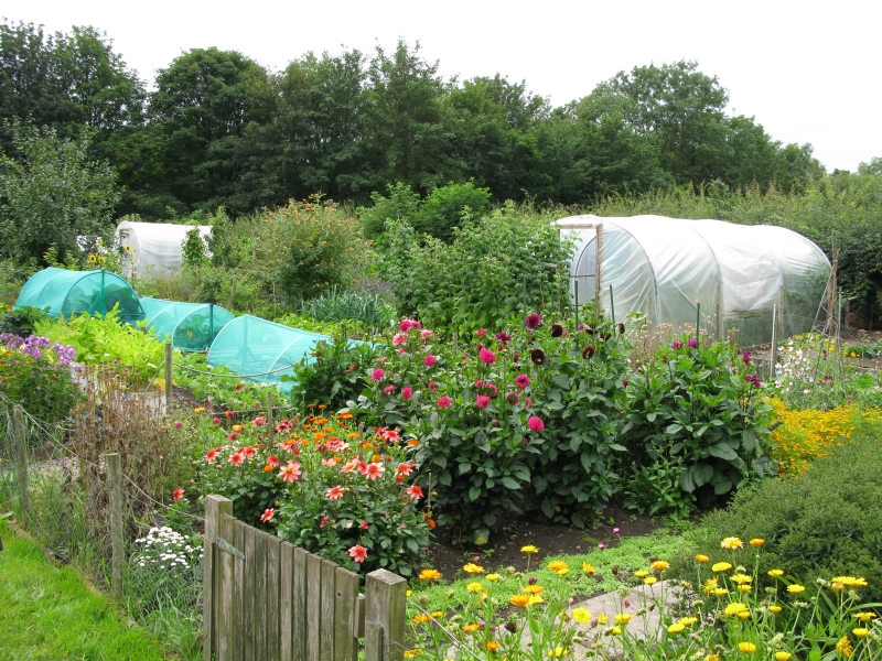 Wolsingham Village Gardens